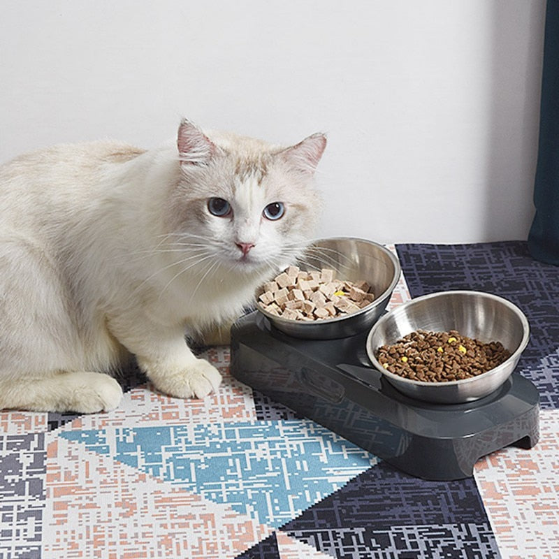 New stainless steel PETKIT Double bowls FRESH Nano 15° adjustable pet Cat Food Bowl for pets feeding