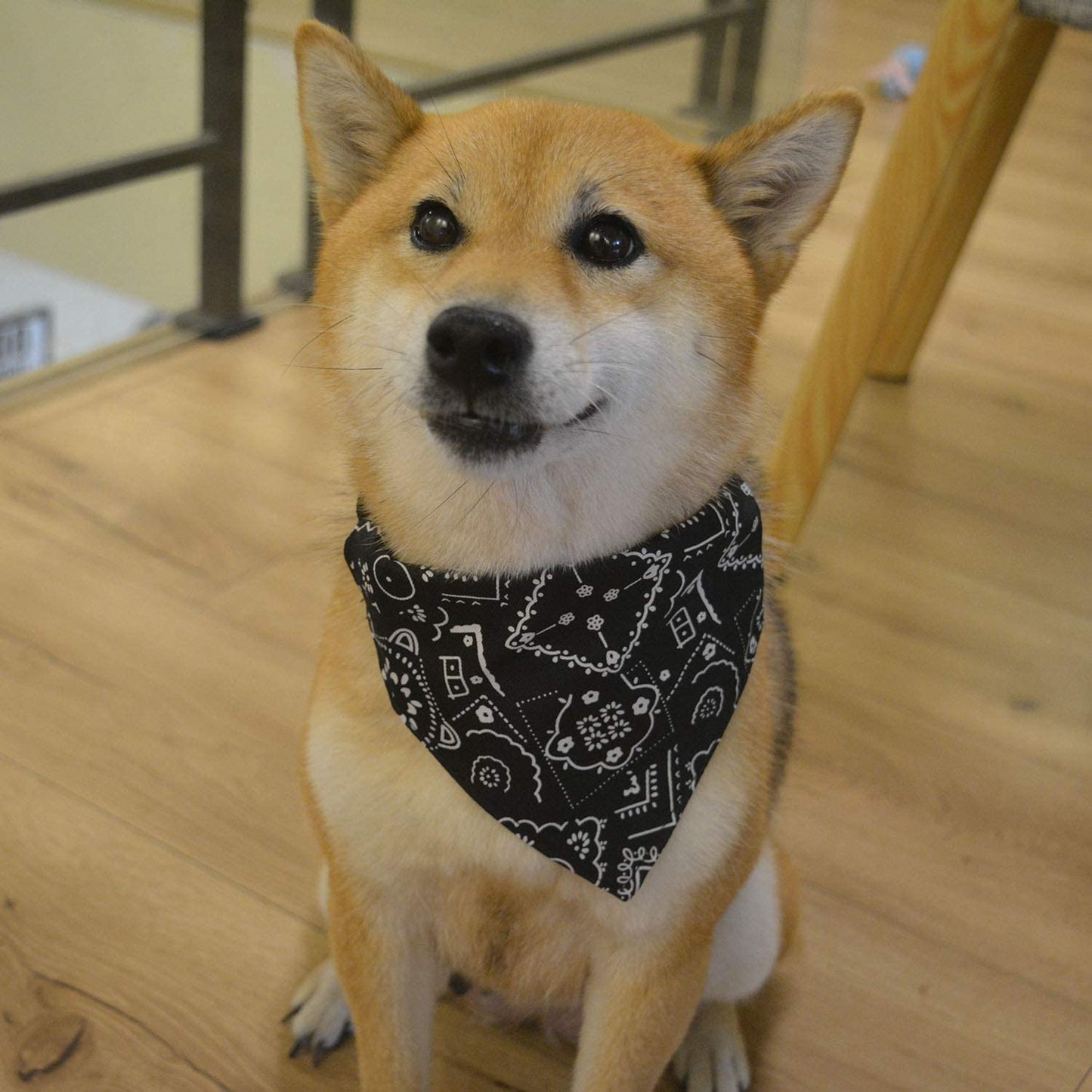 Pretty&Better Dog Bandanas Large Pet Scarf Pet Cotton Plaid WashableBow ties Collar Cat Dog Scarf Large Dog Accessories Kerchief