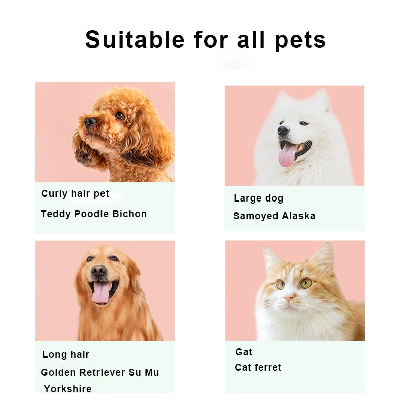 Dogs Clipper Grooming Clipper Kit USB Professional Rechargeable Low-Noise Clipper For Dog Pets Hair Trimmer Display Battery