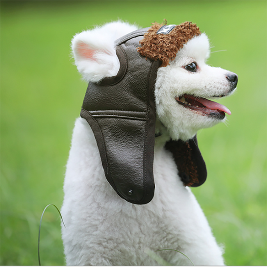 Winter Warm Pet Dogs Hat Puppy Warm Comfortable Handsome Poilt Cap Autumn Winter Cashmere