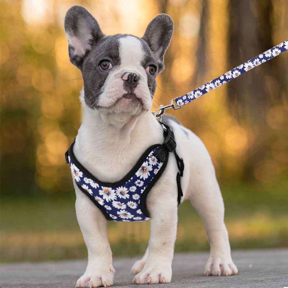 Nylon Dog Harness No Pull Pet Harnesses and Leash Set Dog Puppy Harness Vest Leash for Small Dogs Chihuahua French Bulldog