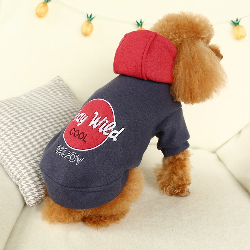 PETCIRCLE Pet Dress Teddy Pomeranian Bichon Dog Small Dog Autumn Casual Woolen Costume Hooded Sweater