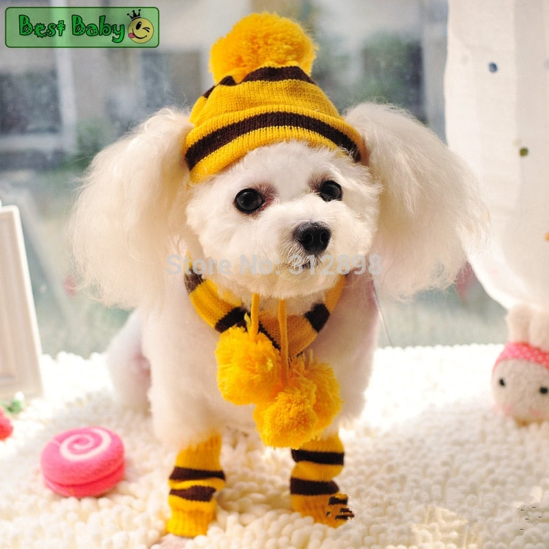 Winter Pet Puppy Accessories For Dogs Knitted Striped Hats Scarf Socks Little Small Big Animals Yorkshire Chihuahua Cat Products