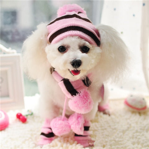 Winter Pet Puppy Accessories For Dogs Knitted Striped Hats Scarf Socks Little Small Big Animals Yorkshire Chihuahua Cat Products