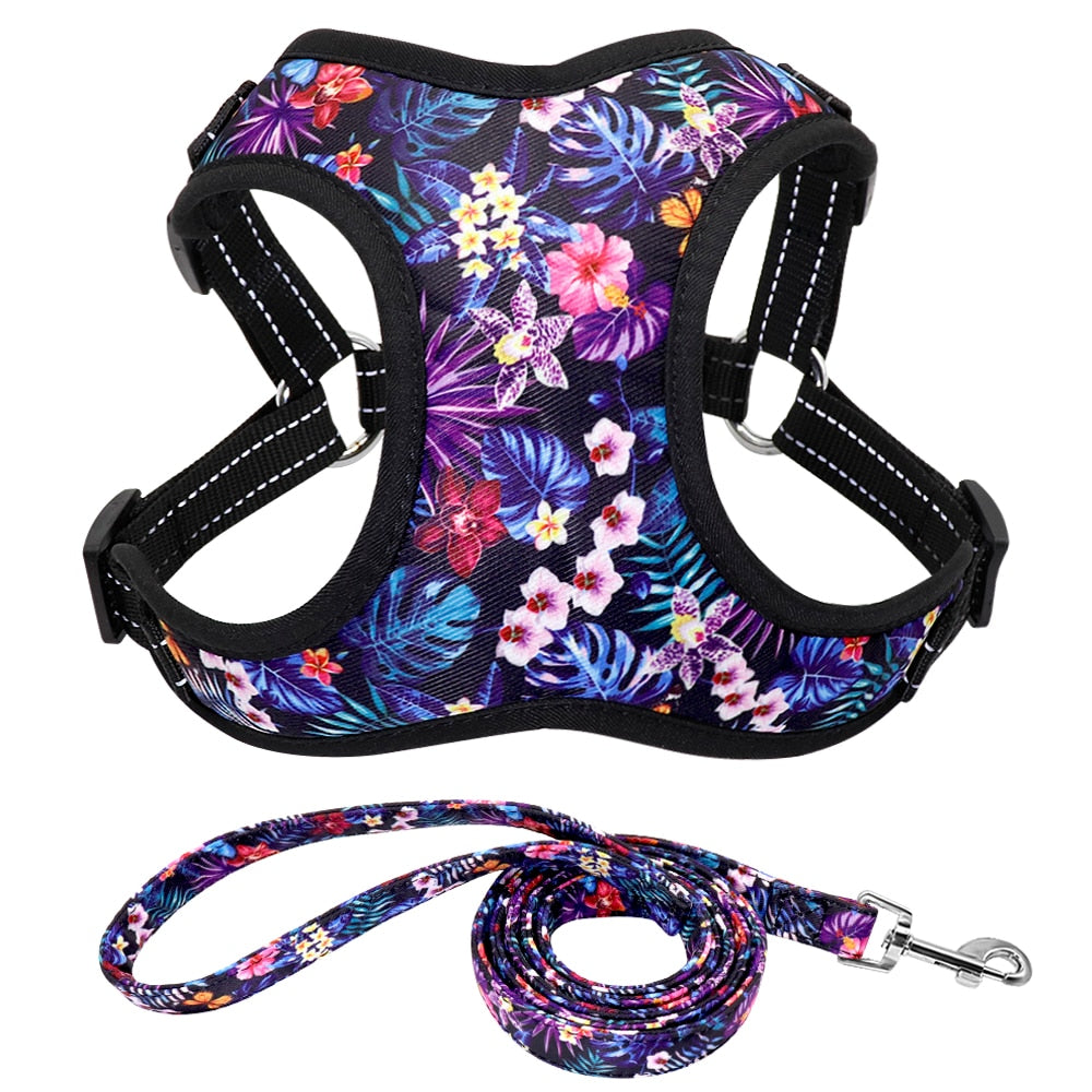 Nylon Dog Harness No Pull Pet Harnesses and Leash Set Dog Puppy Harness Vest Leash for Small Dogs Chihuahua French Bulldog