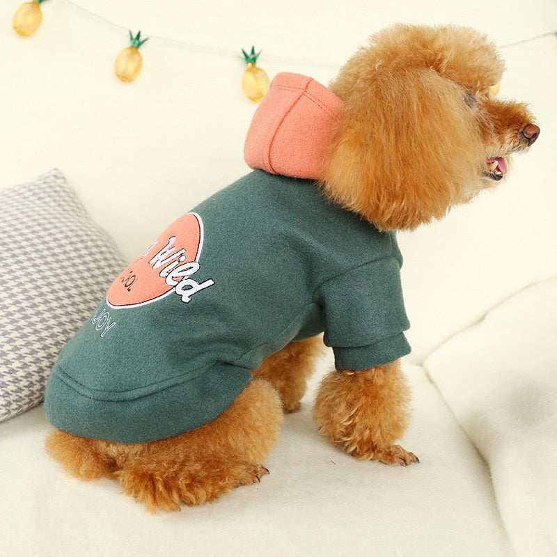 PETCIRCLE Pet Dress Teddy Pomeranian Bichon Dog Small Dog Autumn Casual Woolen Costume Hooded Sweater