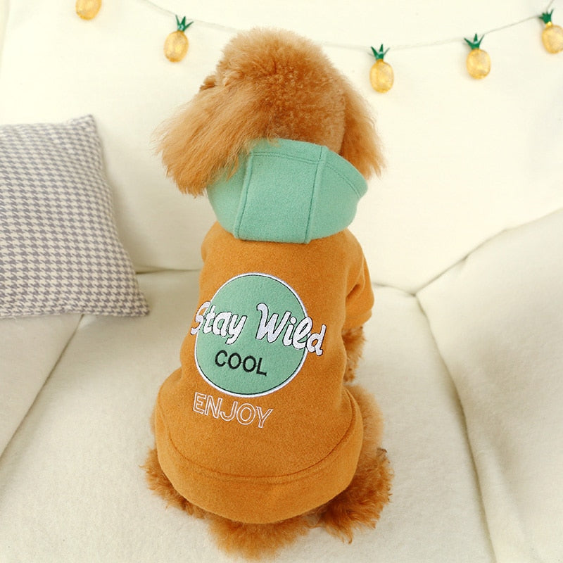 PETCIRCLE Pet Dress Teddy Pomeranian Bichon Dog Small Dog Autumn Casual Woolen Costume Hooded Sweater