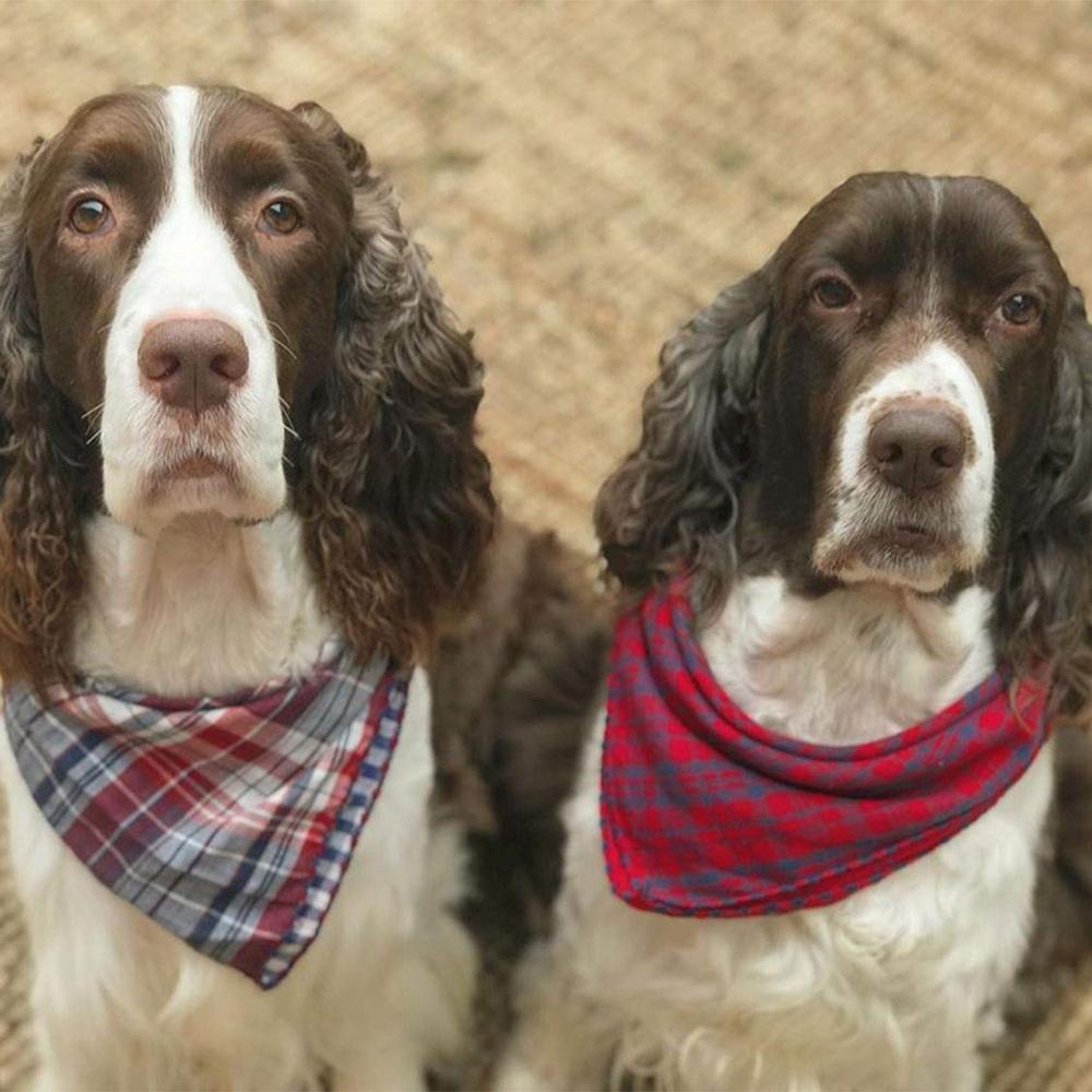 Dog Bandana Scarfs for Puppy Small Medium Large Dogs Plaid Reversible Pets Bandanas Accessories Triangular Bibs Kerchief Set