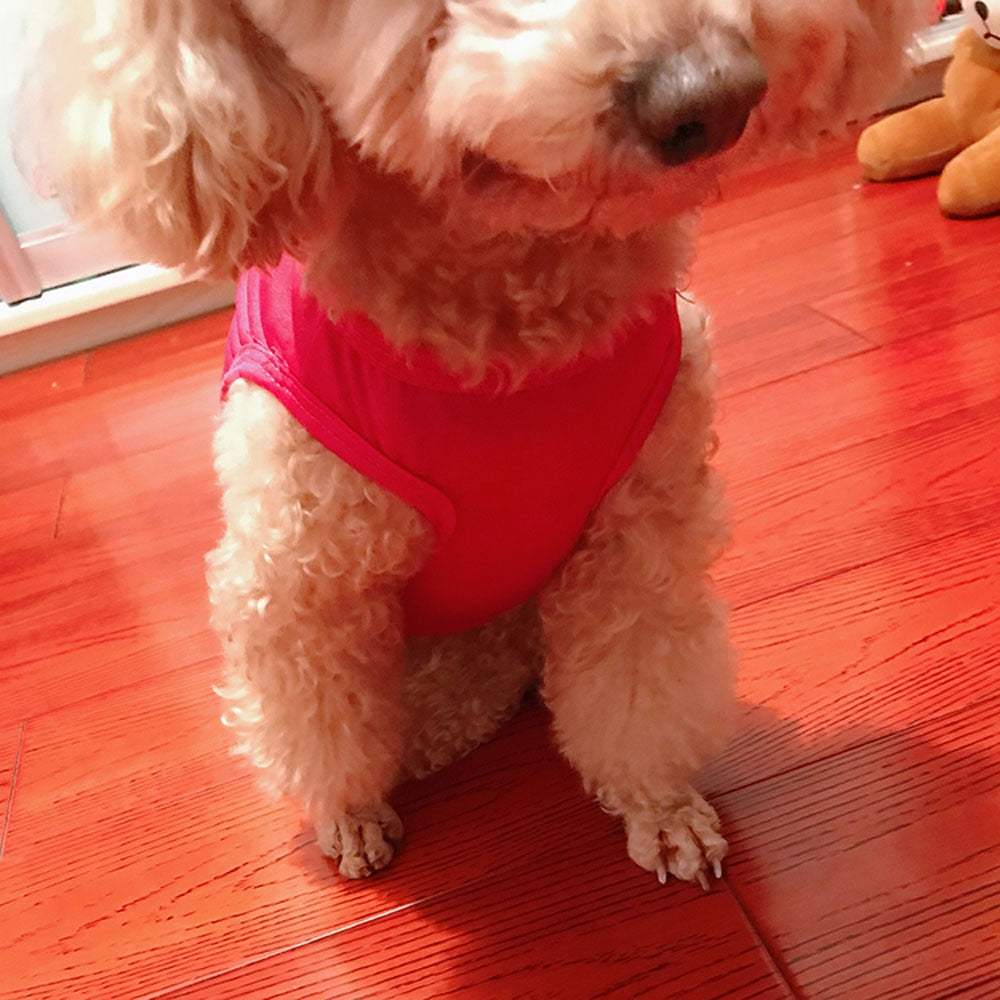 Fashion Pet Dog Cat Cute Princess Polyester T-shirt Clothes Vest Summer Coat Puppy Costumes Pet Dogs T-shirt