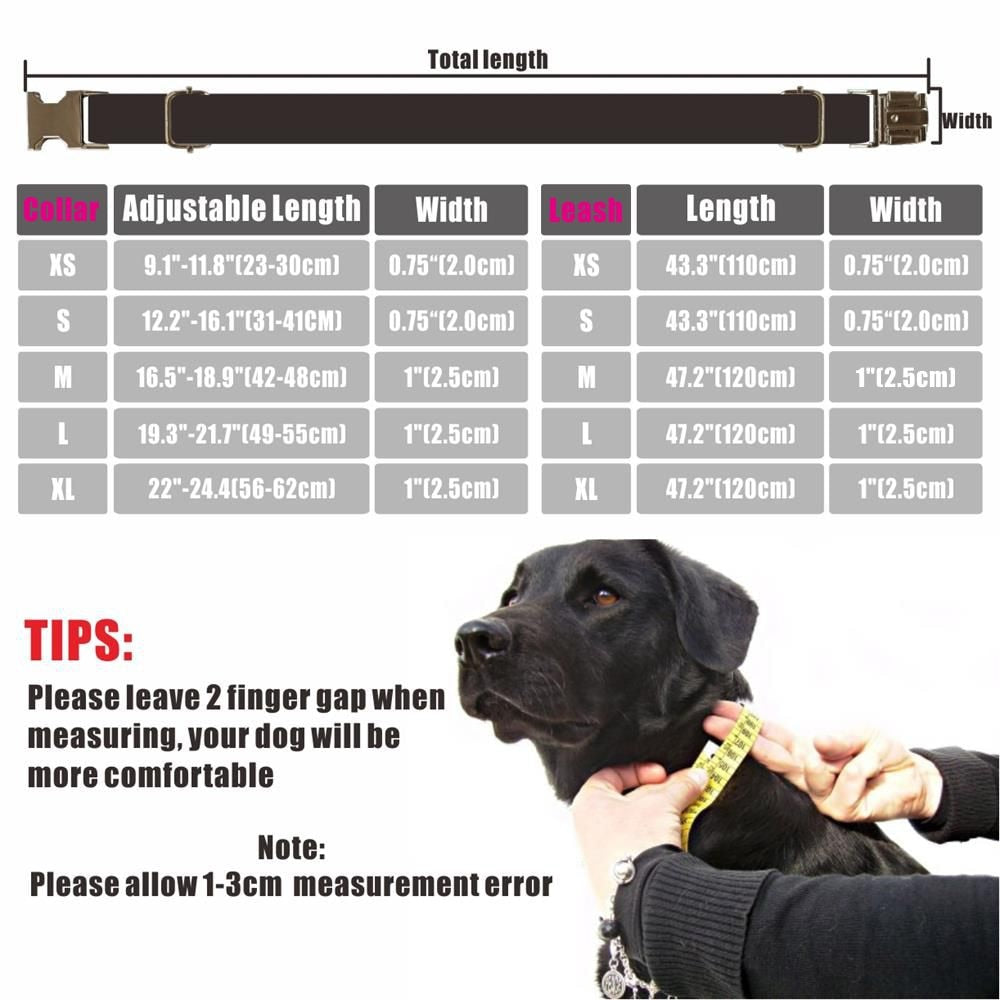 Personalized Dog Collar Customized Pet Collars Free Engraving ID Nameplate Tag Pet Accessory Velvet Puppy Collars Leash Set