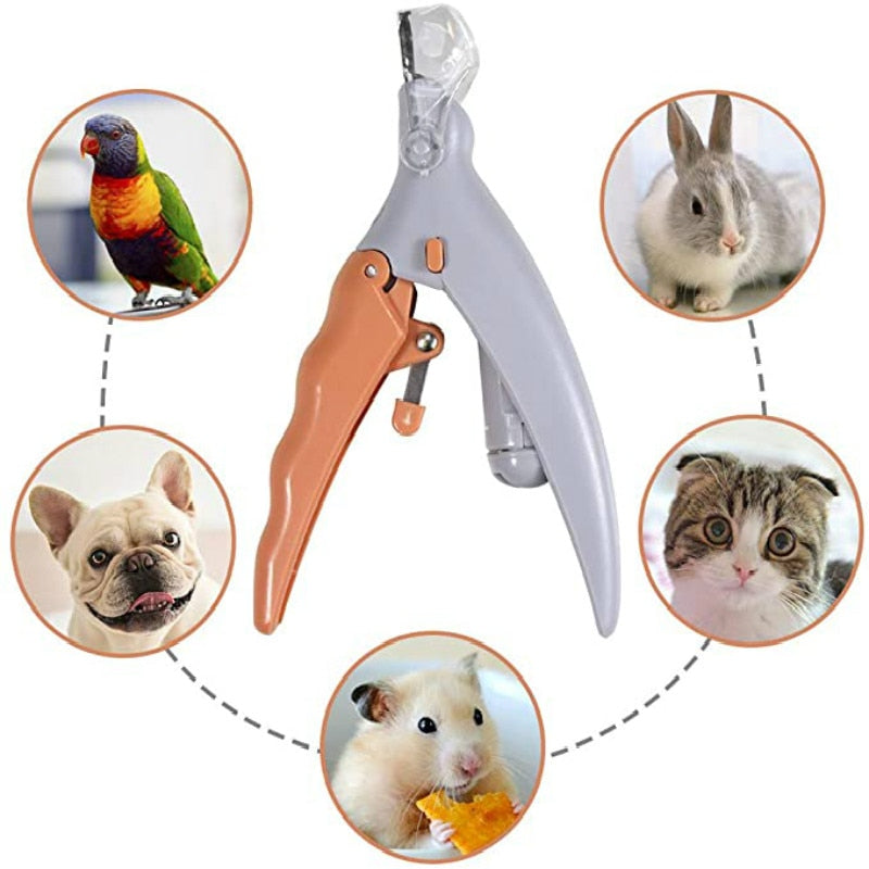 Dogs Pet Nail Clipper Magnification Dog Nail Scissor Safe Cat Pet Grooming Trimmer Claw Care Tool with LED Light Steal Blades