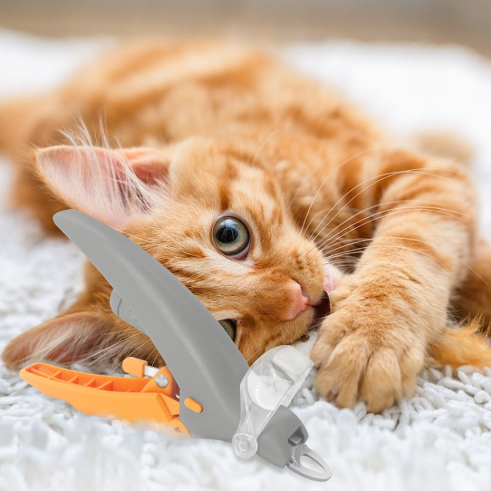 Dogs Pet Nail Clipper Magnification Dog Nail Scissor Safe Cat Pet Grooming Trimmer Claw Care Tool with LED Light Steal Blades